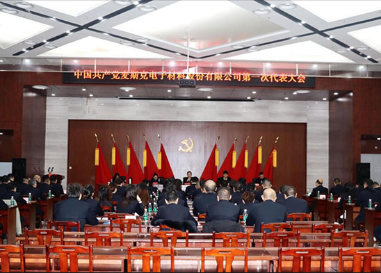 中国共产党麦斯克电子资料股分无限公司第一次代表大会成功召开