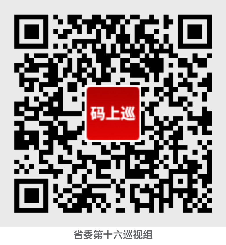 省委第十六巡查组巡查豫信电子科技团体无限公司党委使命带动集会召开